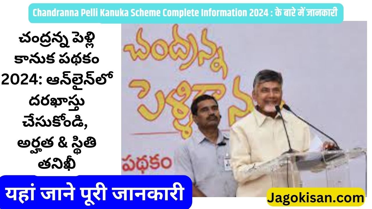 Chandranna Pelli Kanuka Scheme 2024: Apply Online, Eligibility & Status Check