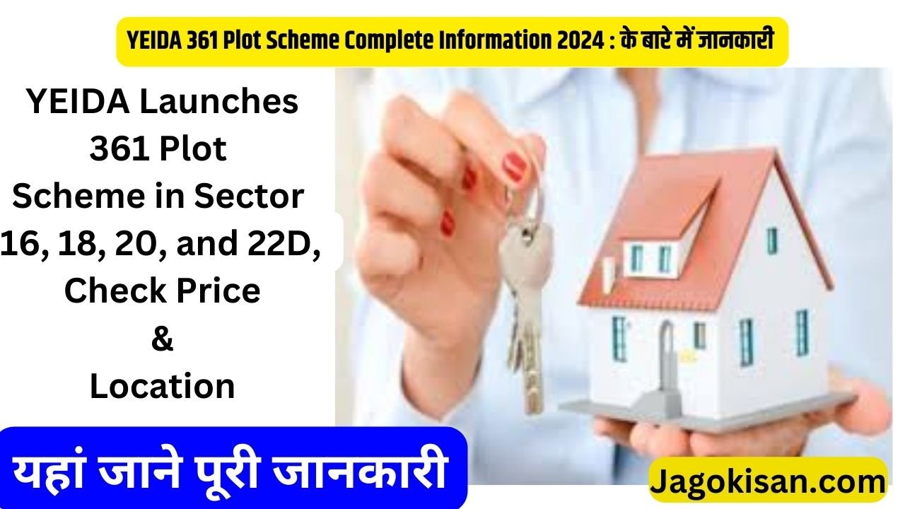 YEIDA Launches 361 Plot Scheme in Sector 16, 18, 20, and 22D, Check Price & Location