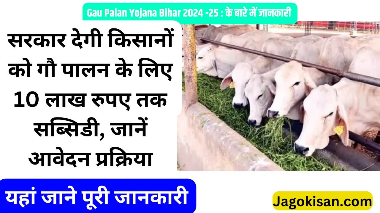 Gau Palan Yojana Bihar : सरकार देगी किसानों को गौ पालन के लिए 10 लाख रुपए तक सब्सिडी, जानें आवेदन प्रक्रिया