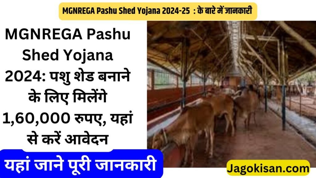 MGNREGA Pashu Shed Yojana 2024: पशु शेड बनाने के लिए मिलेंगे 1,60,000 रुपए, यहां से करें आवेदन