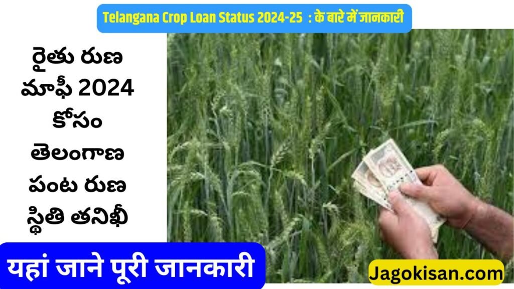 Telangana Crop Loan Status Check for Rythu Runa Mafi 2024 | తెలంగాణ పంట రుణాల మాఫీ పథకం