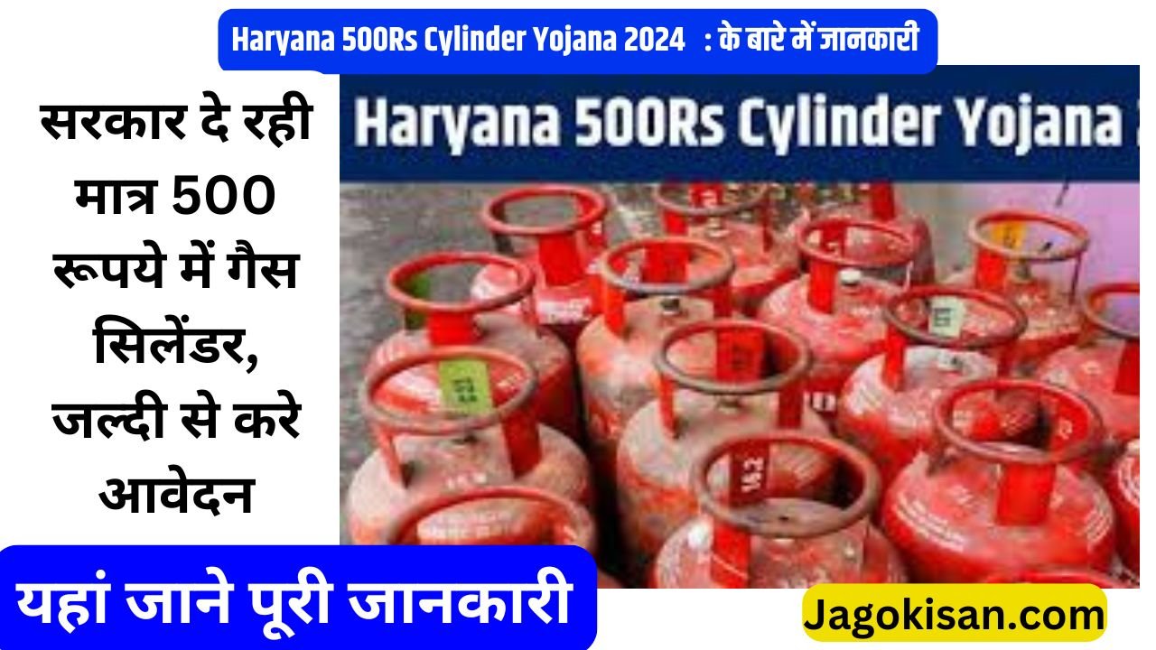 Haryana 500Rs Cylinder Yojana : सरकार दे रही मात्र 500 रूपये में गैस सिलेंडर, जल्दी से करे आवेदन